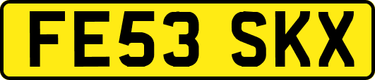 FE53SKX