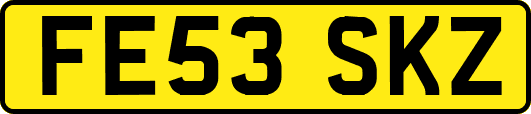 FE53SKZ