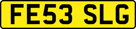 FE53SLG