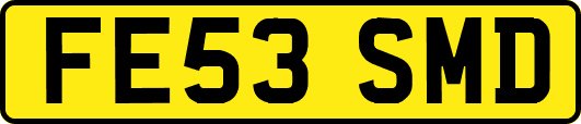 FE53SMD