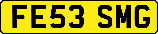 FE53SMG