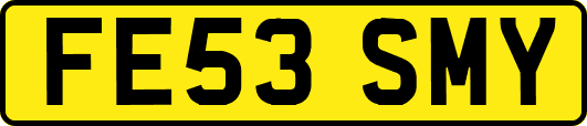 FE53SMY