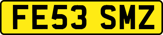 FE53SMZ