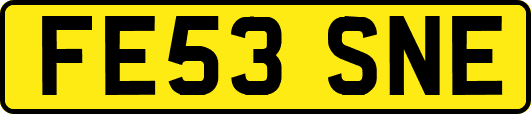 FE53SNE