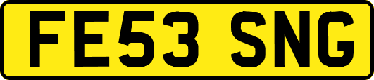 FE53SNG