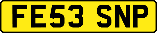 FE53SNP