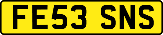 FE53SNS