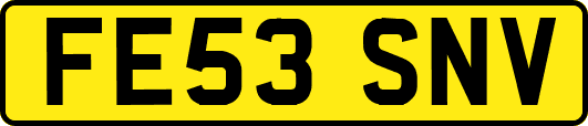 FE53SNV
