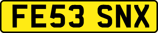 FE53SNX
