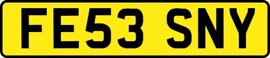 FE53SNY