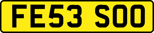 FE53SOO