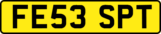 FE53SPT
