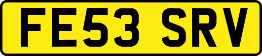 FE53SRV