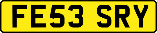 FE53SRY