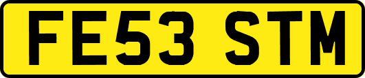 FE53STM