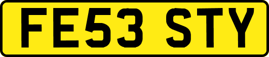 FE53STY