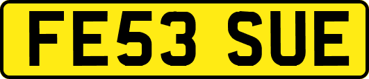FE53SUE