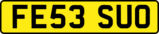 FE53SUO