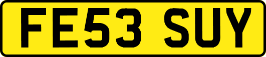FE53SUY