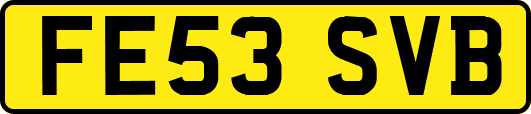 FE53SVB