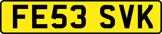 FE53SVK