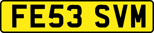 FE53SVM