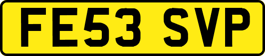 FE53SVP