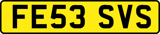 FE53SVS