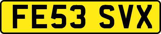 FE53SVX