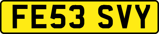 FE53SVY