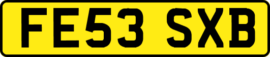 FE53SXB