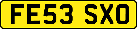 FE53SXO