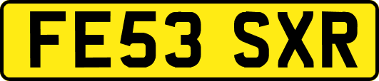 FE53SXR
