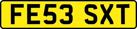 FE53SXT