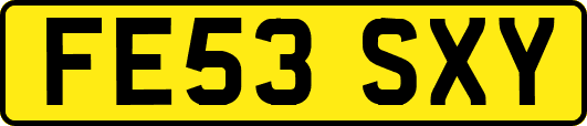 FE53SXY