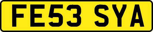 FE53SYA