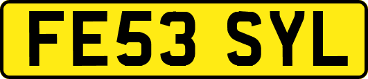 FE53SYL