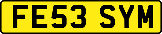 FE53SYM