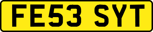 FE53SYT