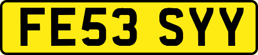 FE53SYY