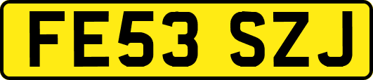 FE53SZJ