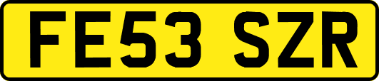 FE53SZR