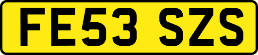 FE53SZS