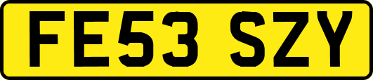 FE53SZY