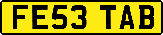 FE53TAB