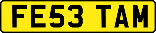 FE53TAM