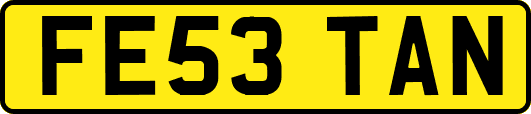 FE53TAN