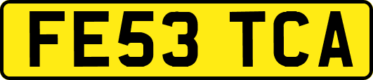 FE53TCA