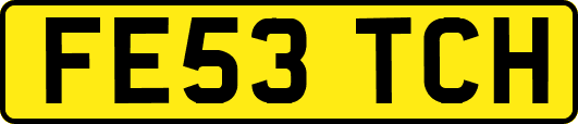 FE53TCH
