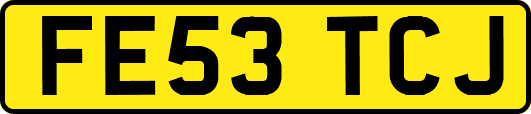 FE53TCJ